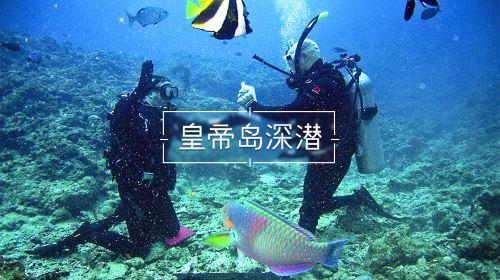 蝴蝶领结